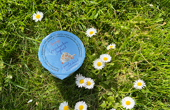 SAMMYS Glück im Becher Griechischer Joghurt