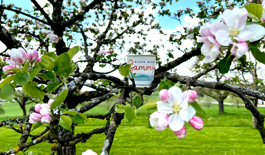 SAMMYs Glück im Becher