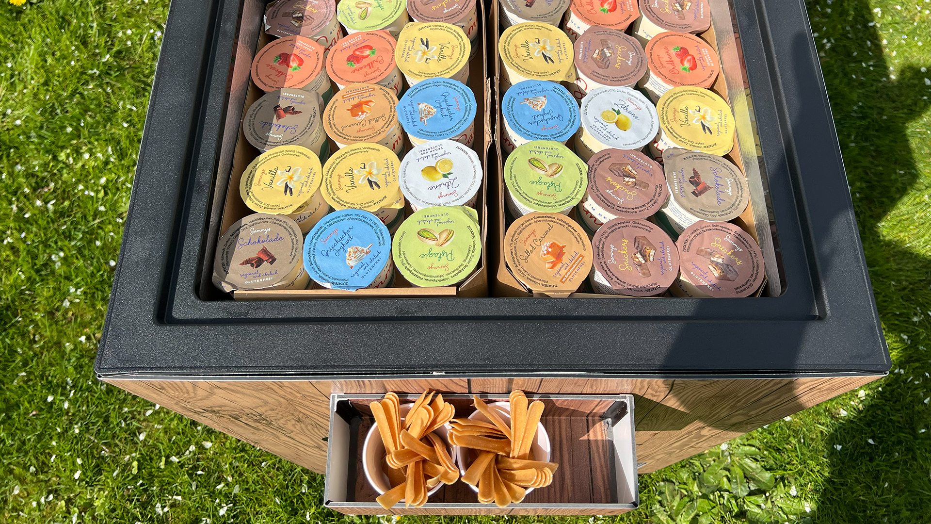 SAMMYs regionales Eis im Becher
